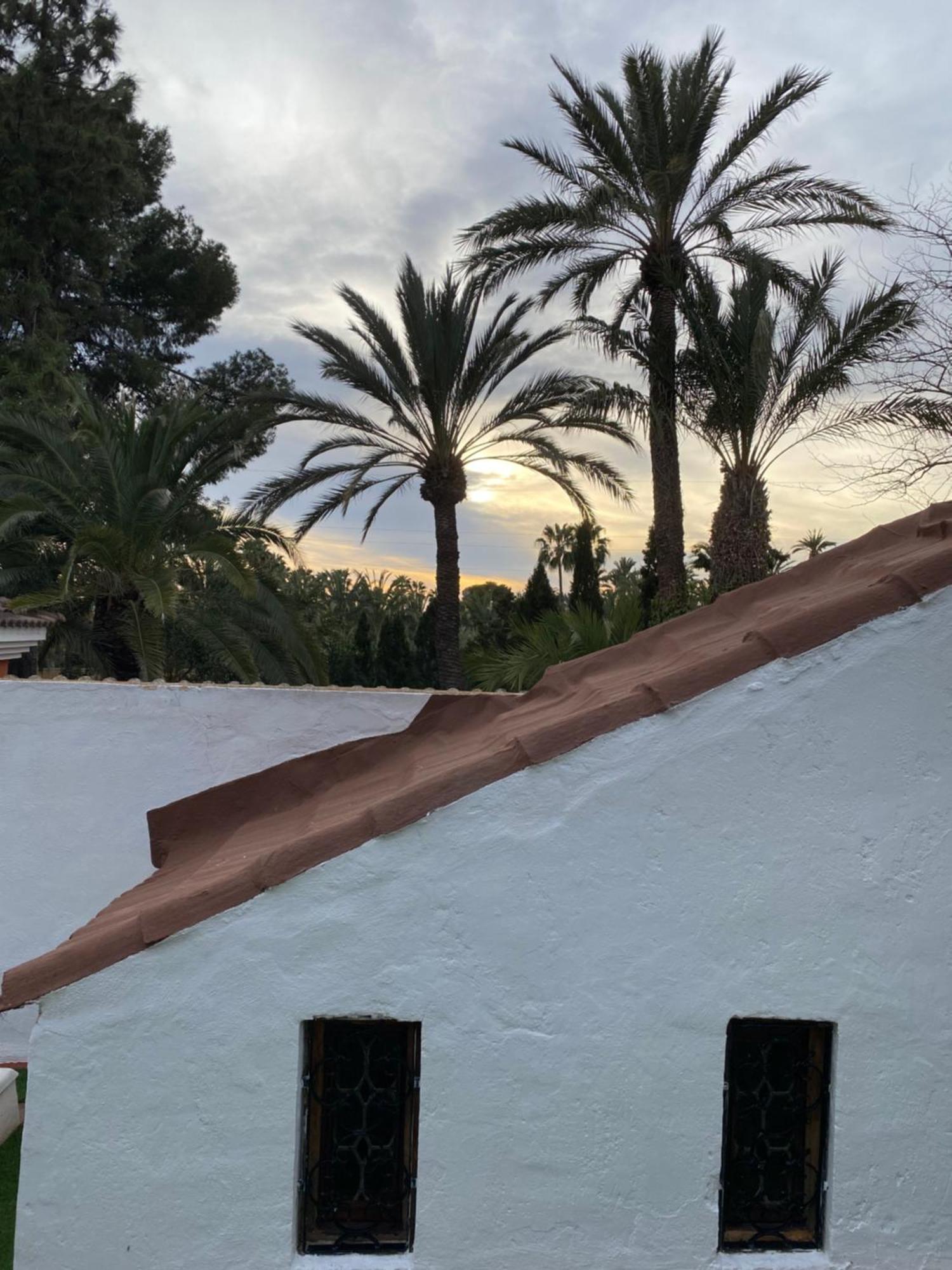 Pink Lemon House Elche Exterior foto