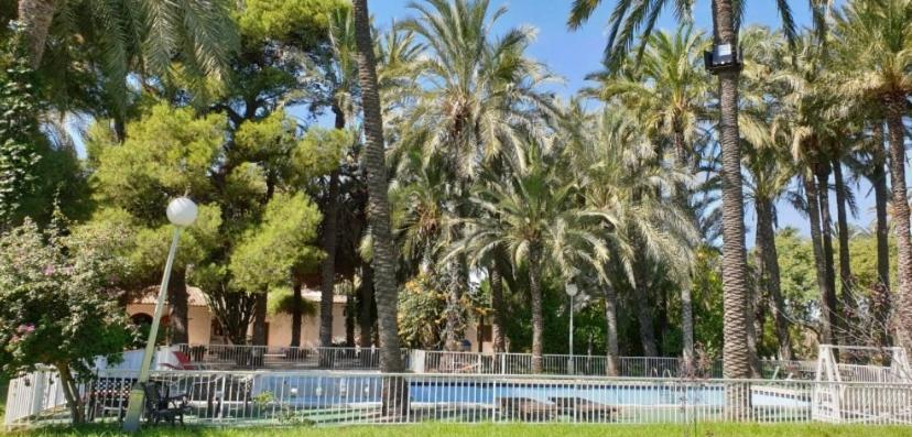 Pink Lemon House Elche Exterior foto