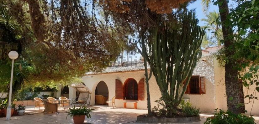 Pink Lemon House Elche Exterior foto